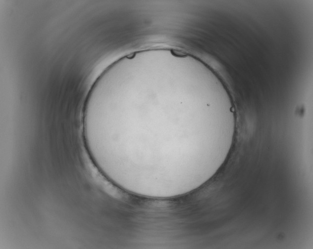 X0000112821431200909181614