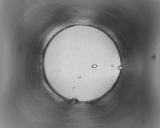 X0000112821432200909181614