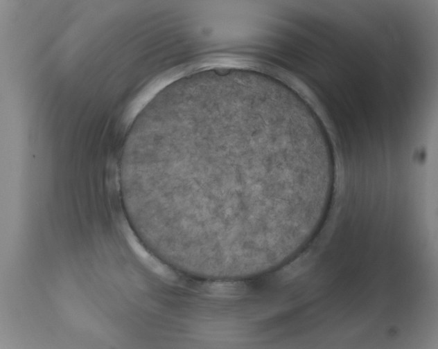 X0000112821433200909181614