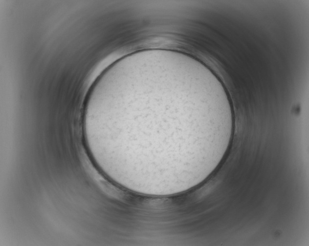 X0000112821434200909181614