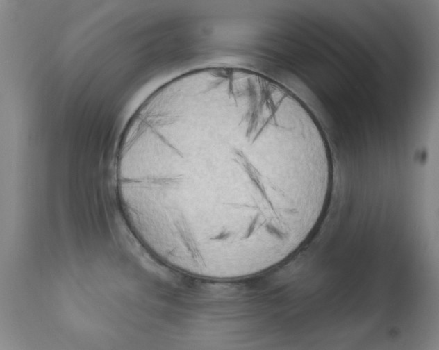 X0000112821436200909181614