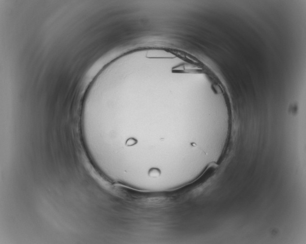 X0000112821437200909181614