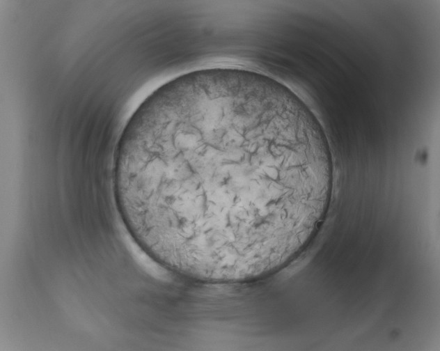 X0000112821438200909181615