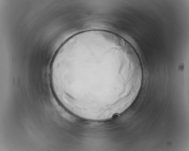 X0000112821439200909181615