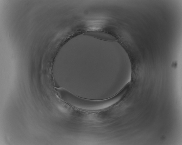 X0000112821441200909181614