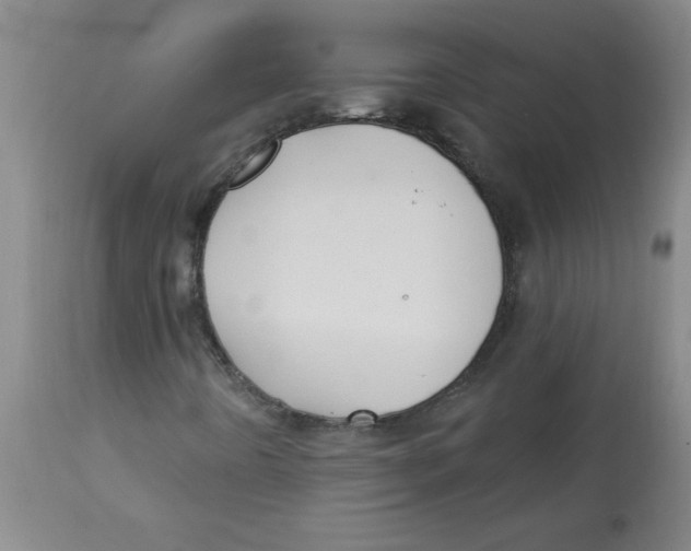 X0000112821442200909181614