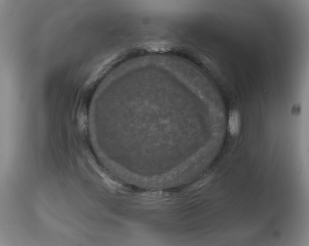 X0000112821444200909181614