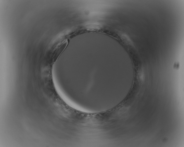 X0000112821445200909181614