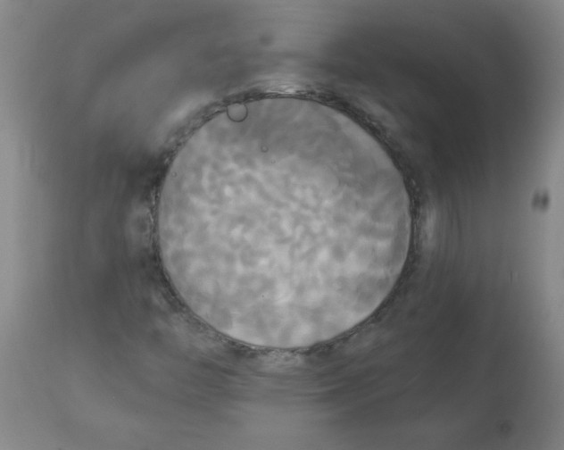 X0000112821446200909181614