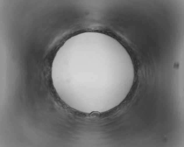 X0000112821447200909181614