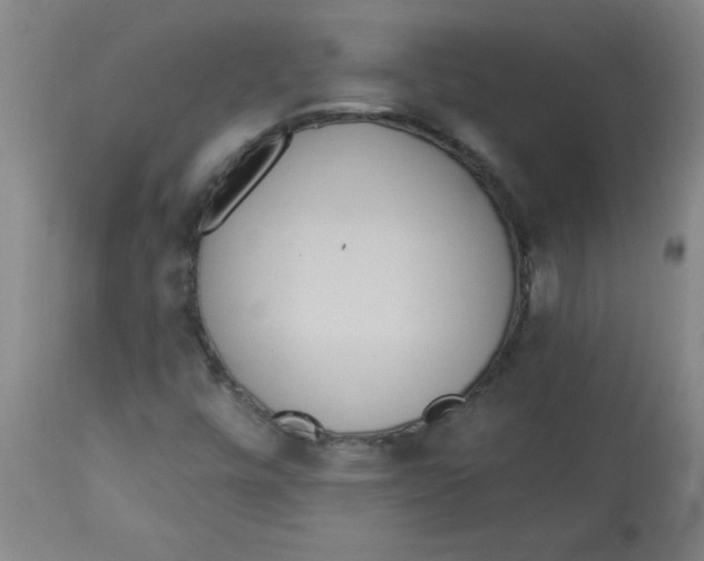 X0000112821448200909181614