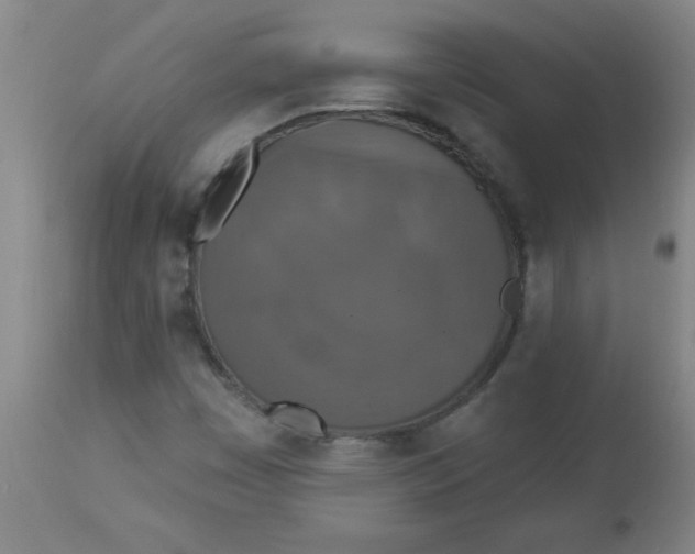 X0000112821449200909181614