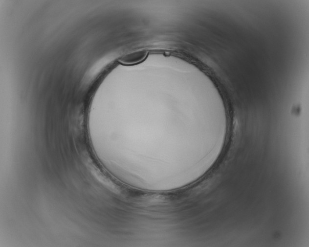 X0000112821450200909181614