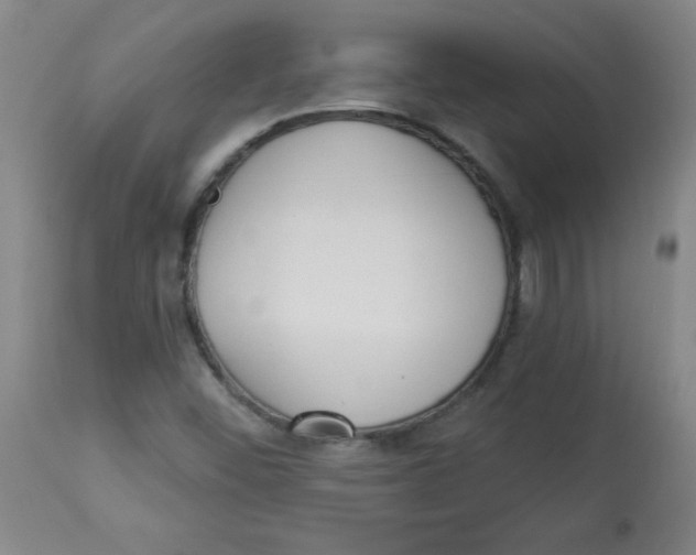 X0000112821452200909181614