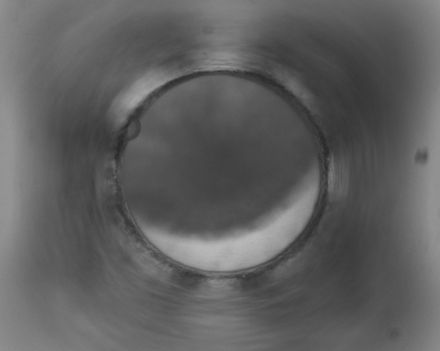 X0000112821453200909181614