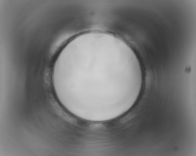 X0000112821454200909181614