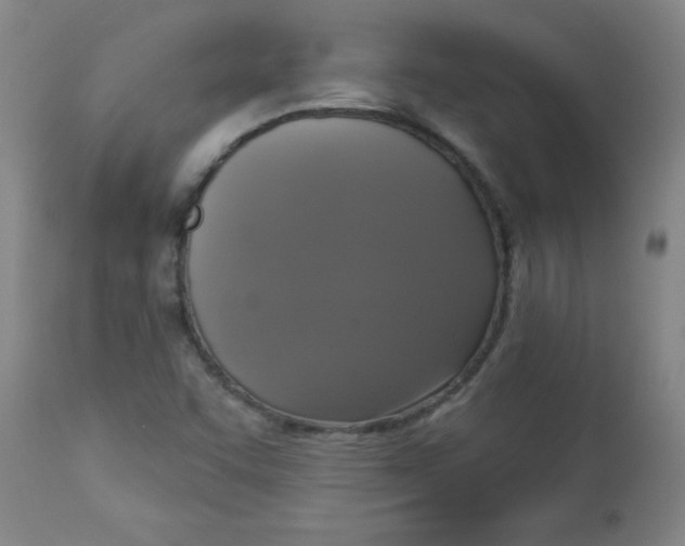 X0000112821455200909181614