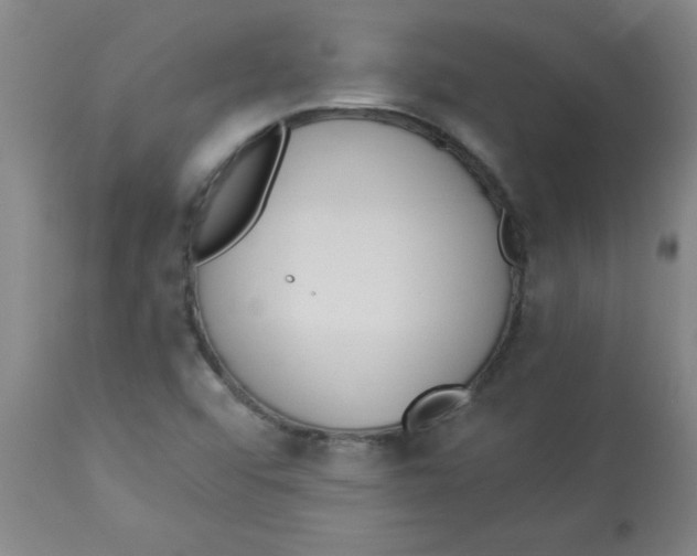 X0000112821456200909181614