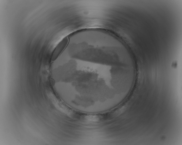 X0000112821457200909181614