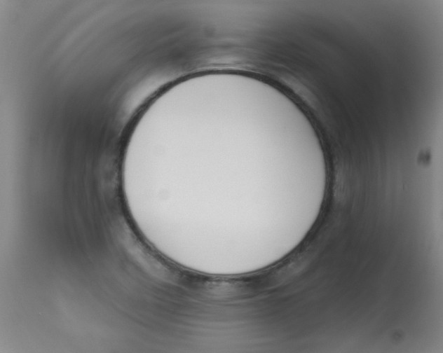 X0000112821458200909181614