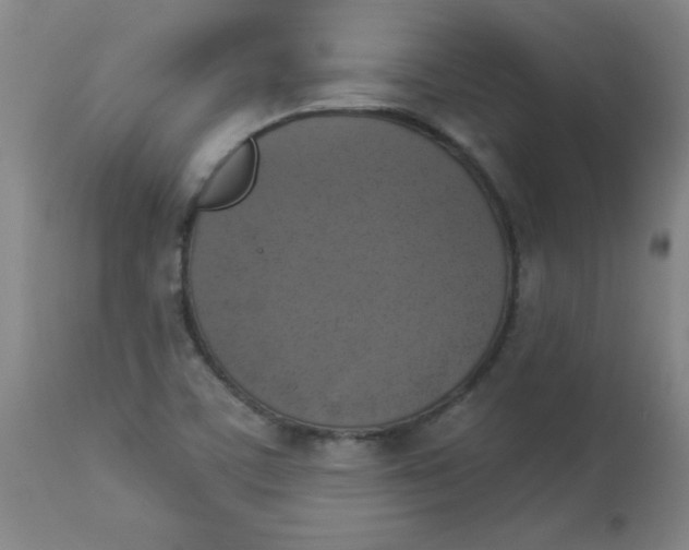 X0000112821459200909181614