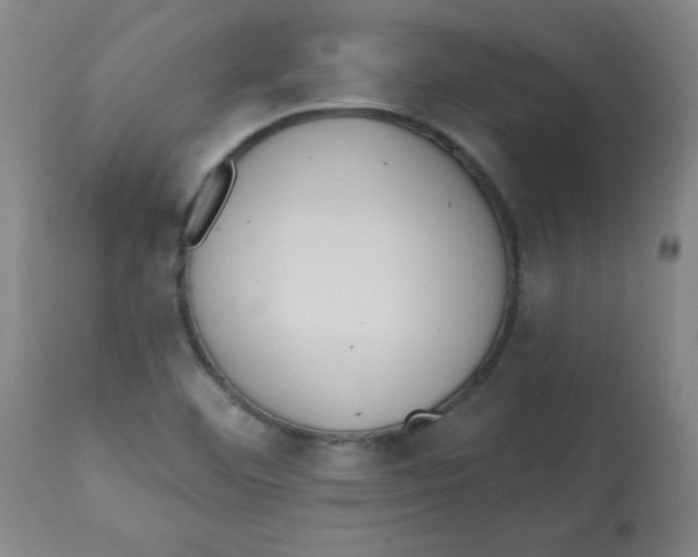 X0000112821460200909181614