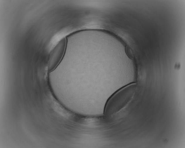 X0000112821461200909181614