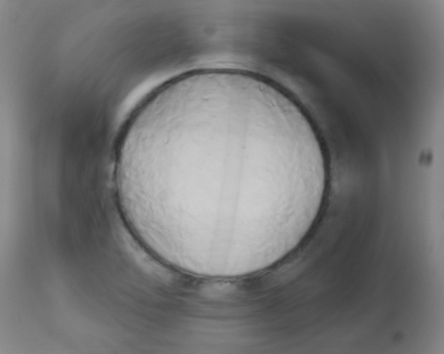 X0000112821462200909181614