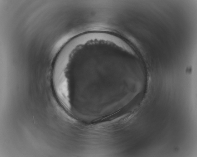 X0000112821463200909181614