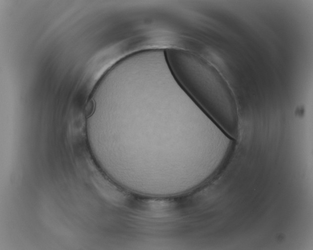 X0000112821465200909181614