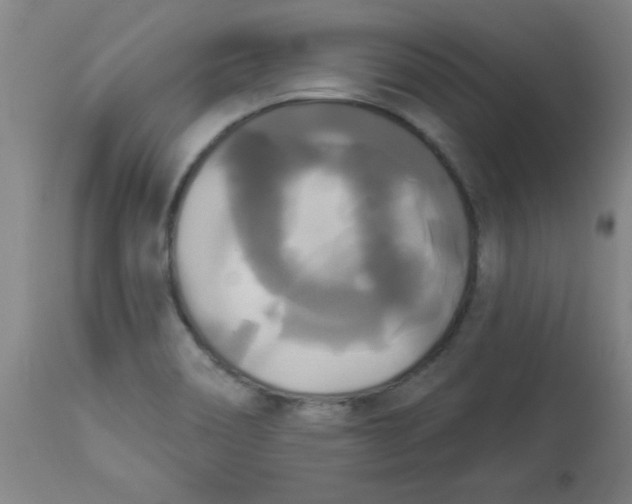 X0000112821466200909181614