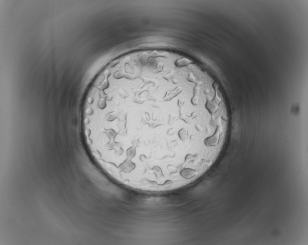 X0000112821467200909181614