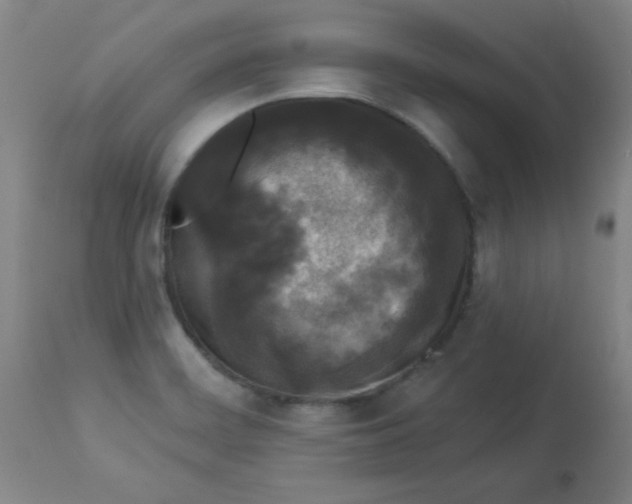 X0000112821468200909181614