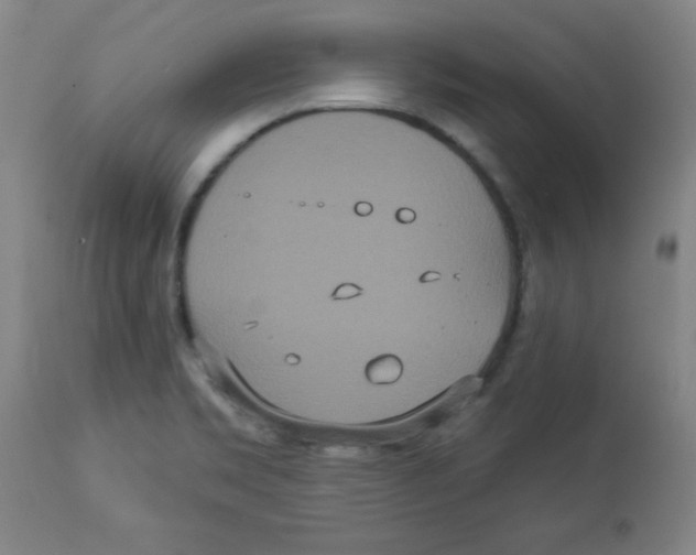 X0000112821469200909181613