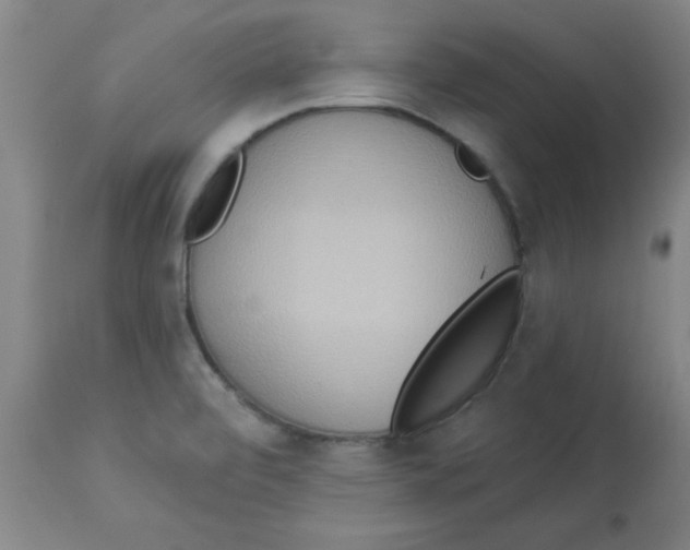 X0000112821472200909181613