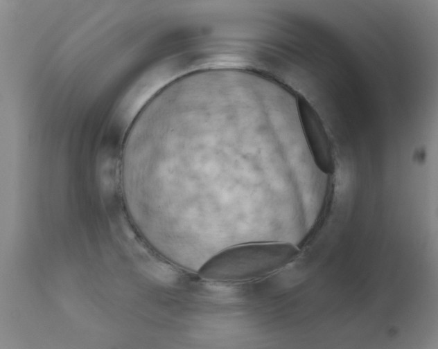 X0000112821473200909181613