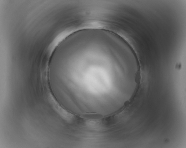 X0000112821477200909181613