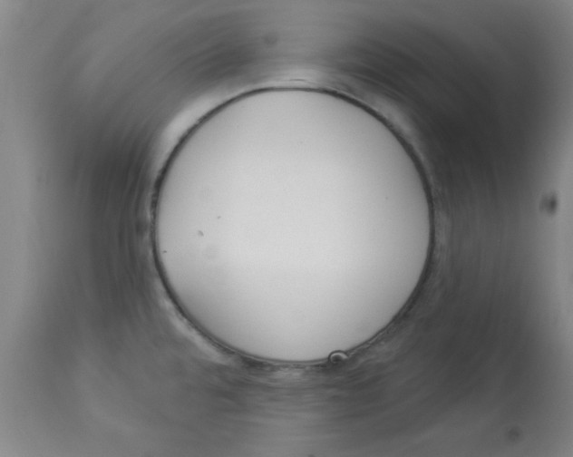 X0000112821480200909181613