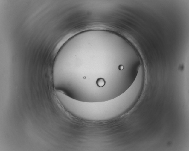 X0000112821481200909181613