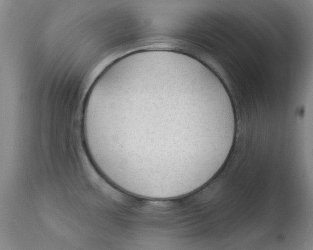 X0000112821483200909181613