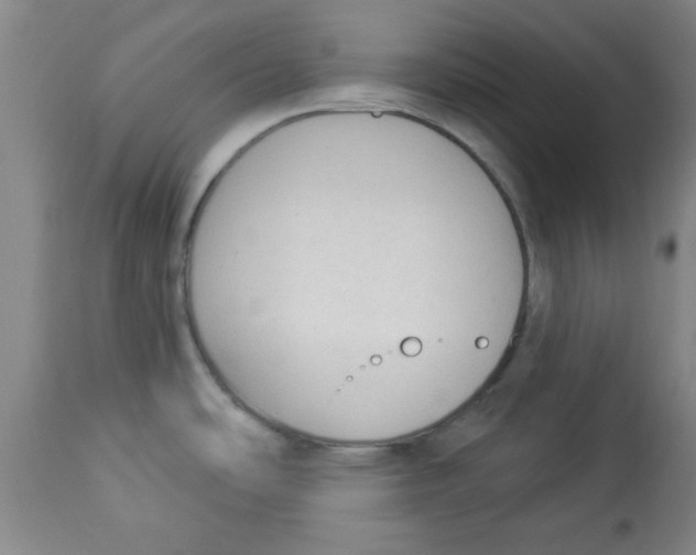 X0000112821486200909181613