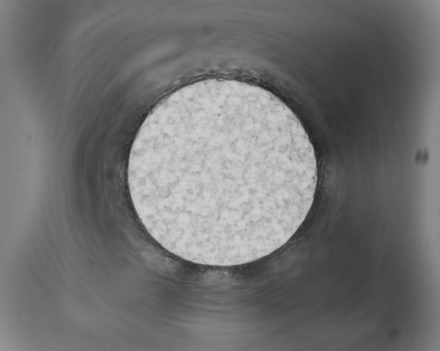 X0000112821489200909181612