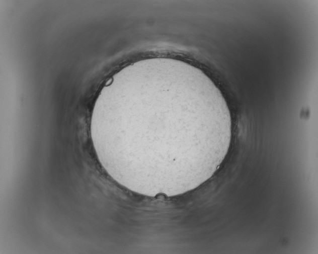 X0000112821493200909181612