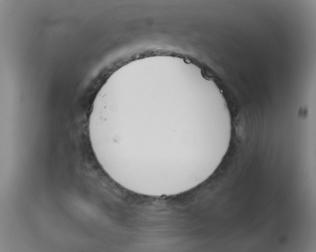 X0000112821495200909181612