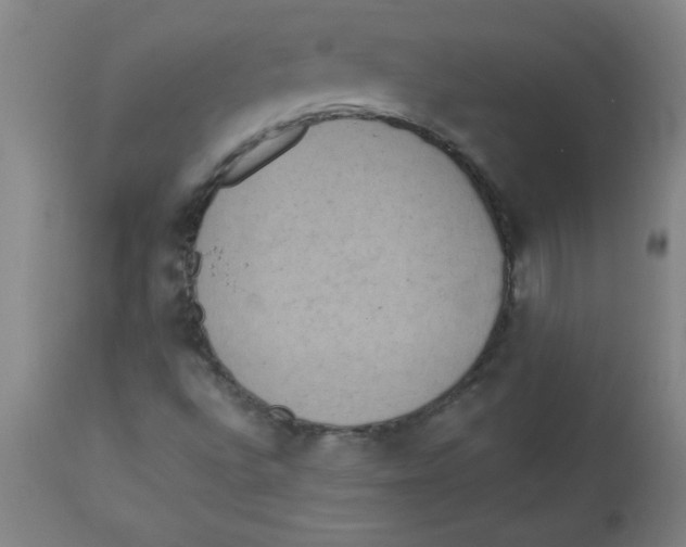 X0000112821496200909181612