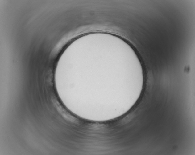 X0000112821499200909181613