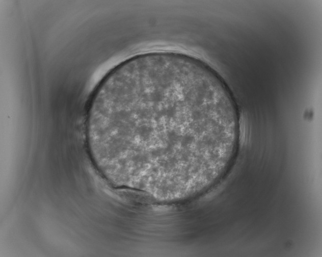 X0000112821501200909181613