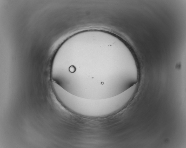 X0000112821504200909181613