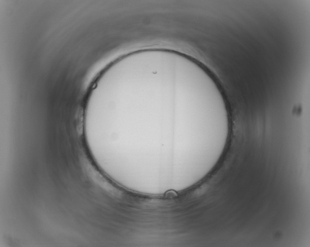 X0000112821510200909181613