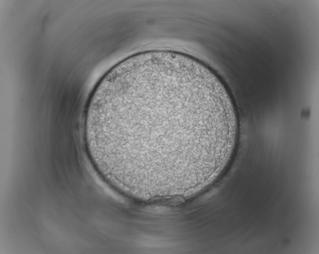 X0000112821517200909181613